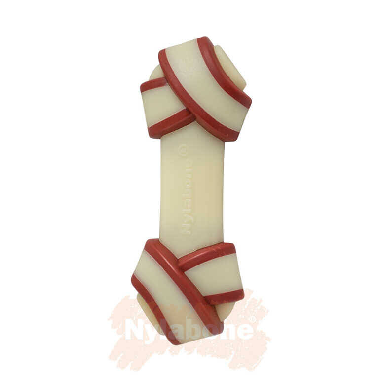 Nylabone Biftek Aromalı Köpek Çiğneme Kemiği XS