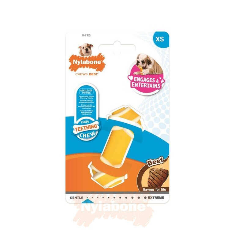 Nylabone Biftek Aromalı Yavru Köpek Çiğneme Kemiği XS