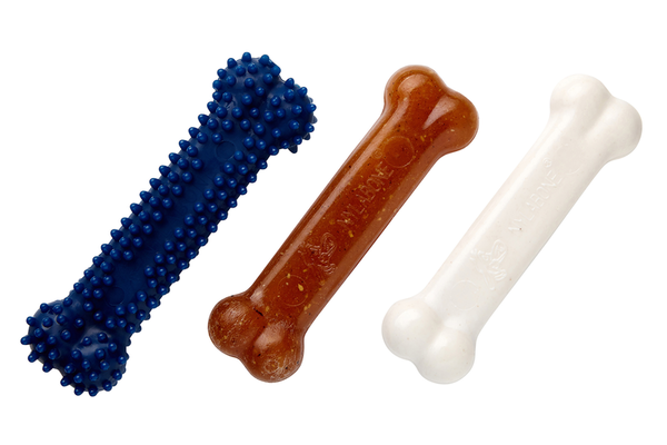 Nylabone Tavuk Aromalı Yavru Köpek Başlangıç Kiti S - Thumbnail