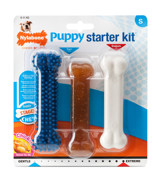 Nylabone Tavuk Aromalı Yavru Köpek Başlangıç Kiti S - Thumbnail