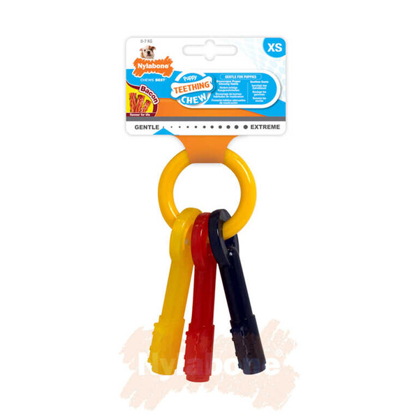 Nylabone - Nylabone Domuz Pastırması Aromalı Yavru Köpek Çiğneme Çubuğu XS