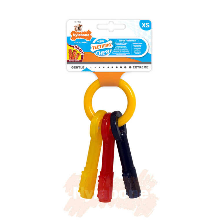 Nylabone Domuz Pastırması Aromalı Yavru Köpek Çiğneme Çubuğu XS