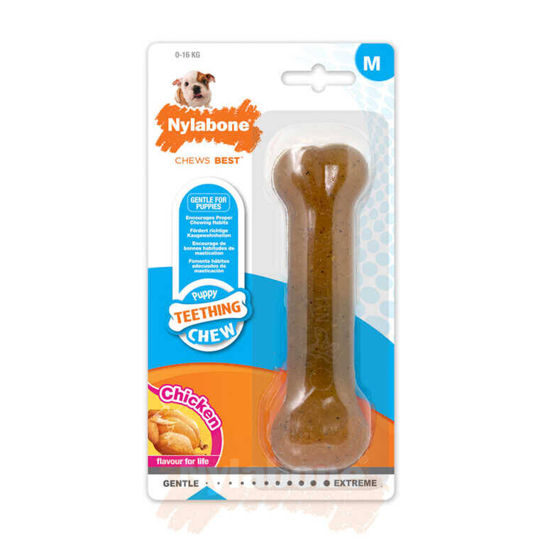 Nylabone Tavuk Aromalı Yavru Köpek Çiğneme Kemiği M