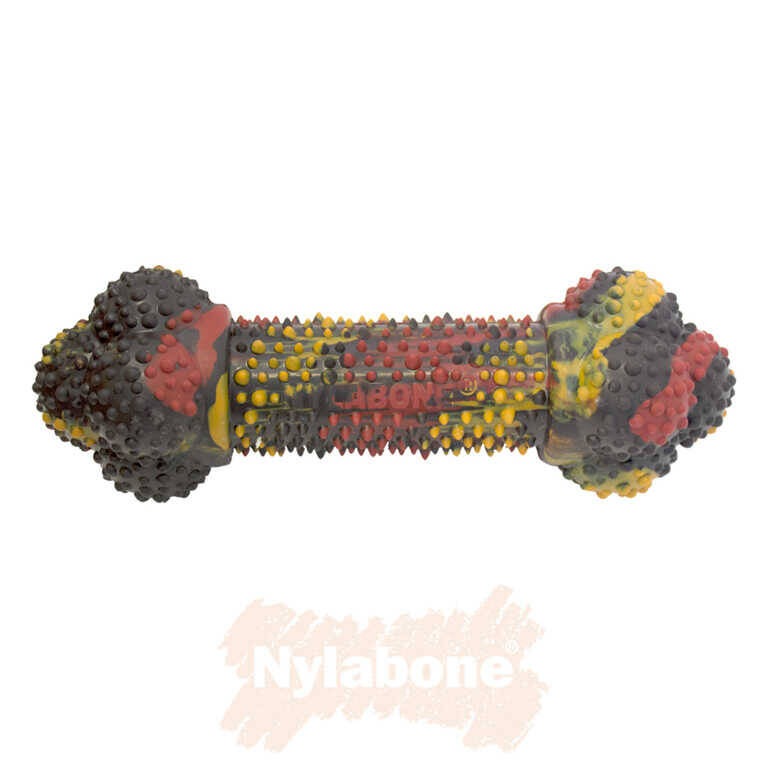 Nylabone Domuz Pastırması ve Cheeseburger Aromalı Köpek Çiğneme Kemiği M